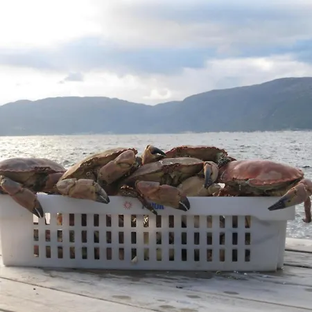 Fjordhytte-17 In Norwegen Direkt Am Fjord, Mit Mietbaren 9,9 Ps Bis 60 Ps Motorbooten *