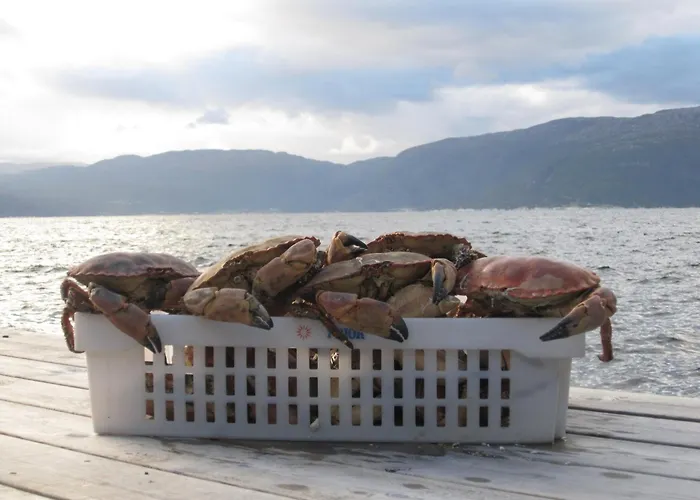 Fjordhytte-17 In Norwegen Direkt Am Fjord, Mit Mietbaren 9,9 Ps Bis 60 Ps Motorbooten *